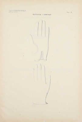 Чертежи и рисунки к положению о довольствии команд Морского ведомства по части обмундирования и амуниции. СПб.: В Тип. Морского министерства, 1876.